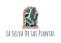 selva_plantas