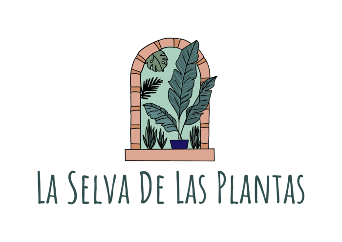 selva_plantas