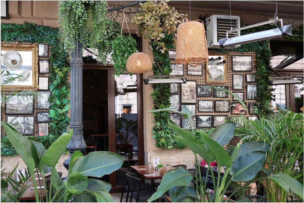 Plantas colgantes en salón