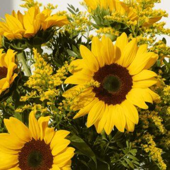 Girasoles con flores silvestres