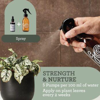 Fertilización de plantas con pulverizador
