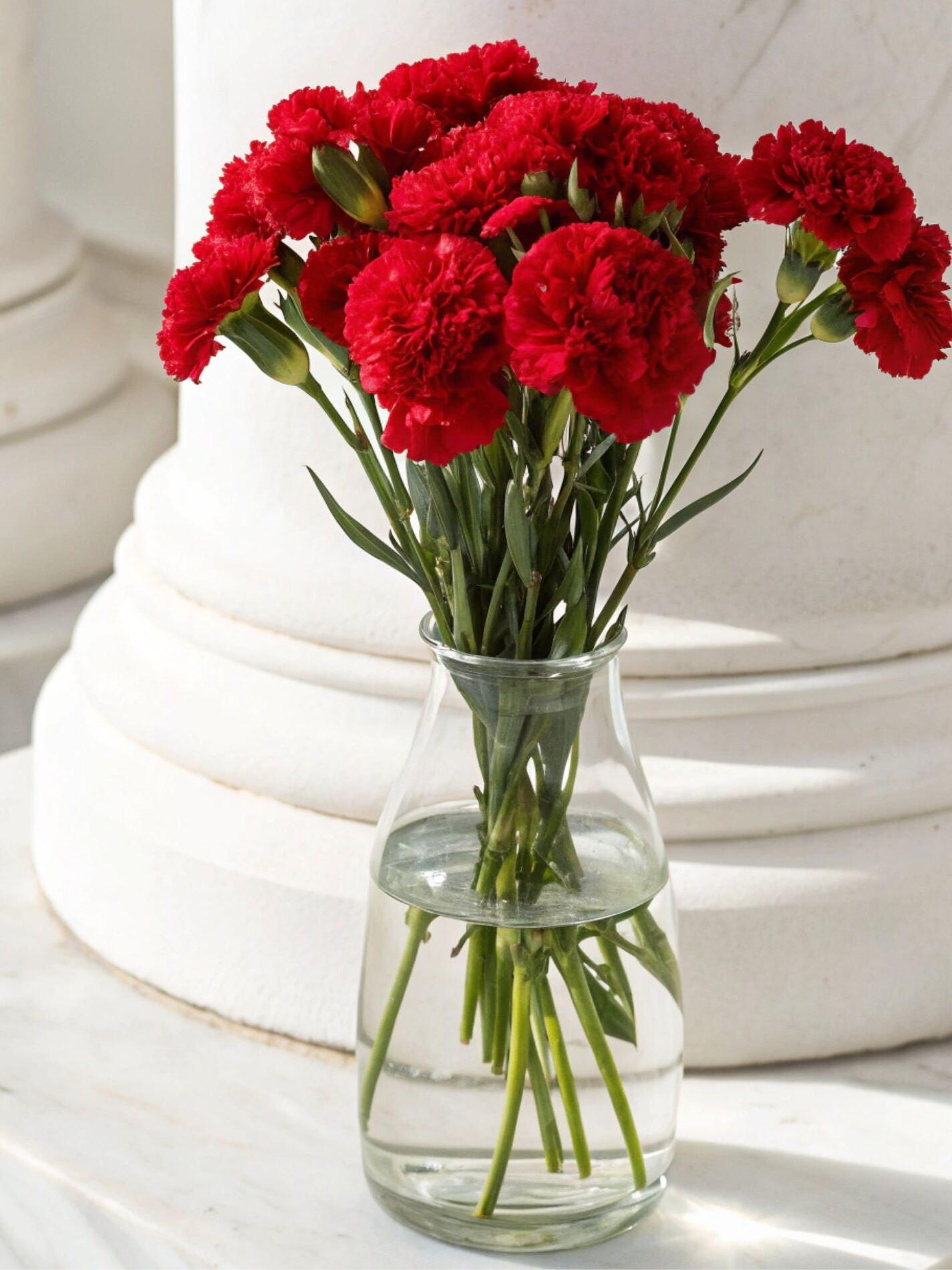 Ramillete de Claveles rojos