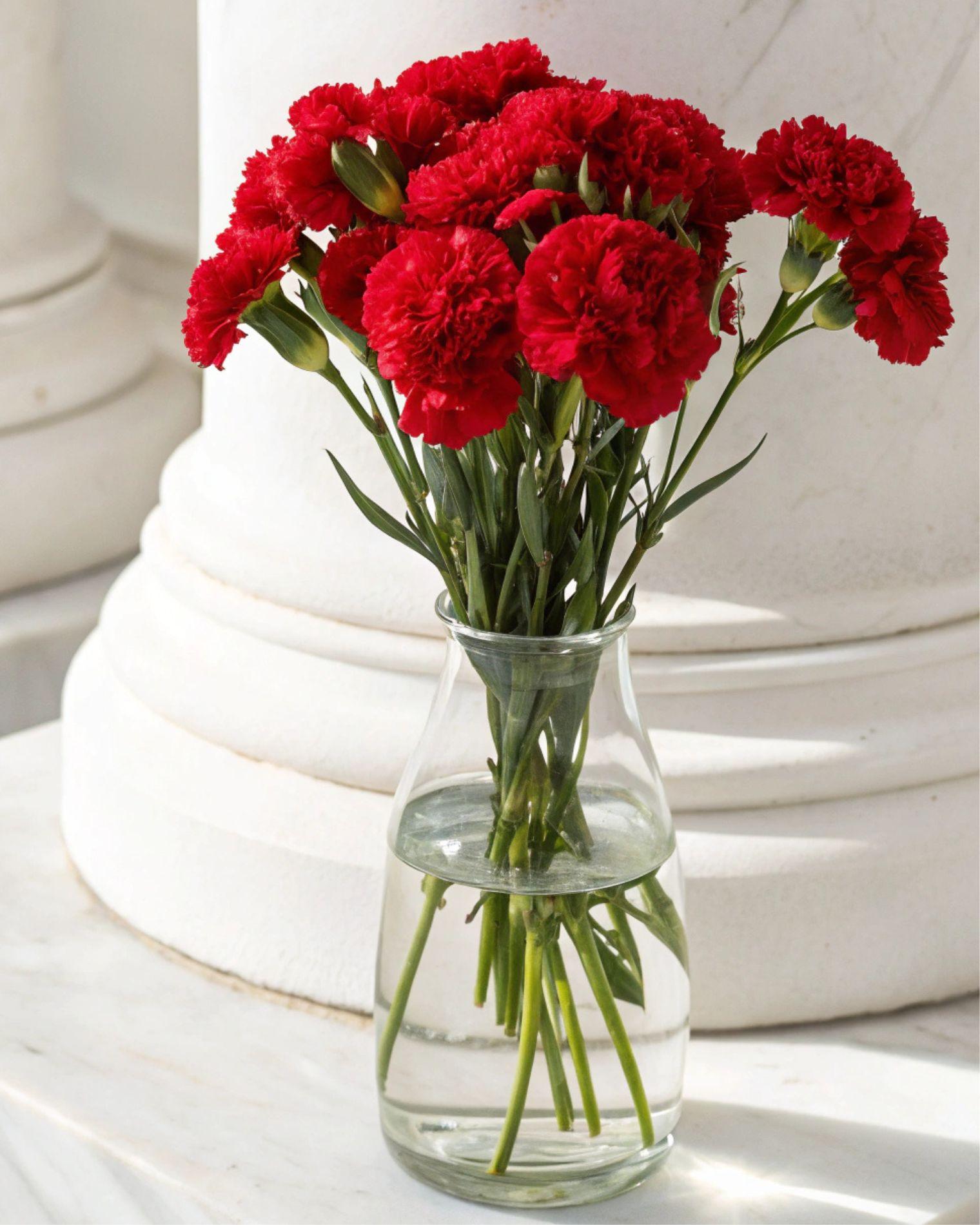 Ramillete de Claveles rojos