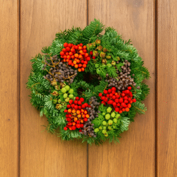 Corona de Navidad natural con frutos y Nobilis